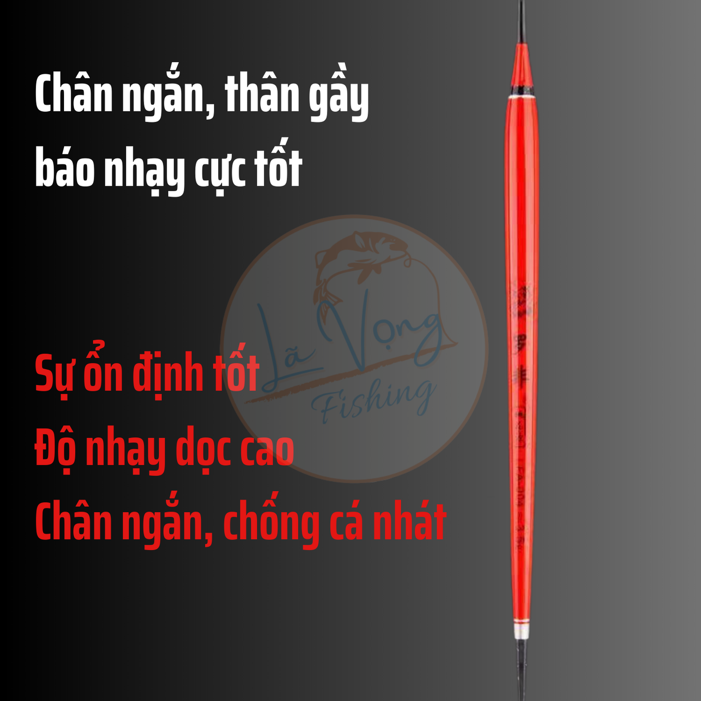 Phao Câu Rô Ngày - Đêm - LFA-001, Tăm Sáng Nhìn Rõ Ràng