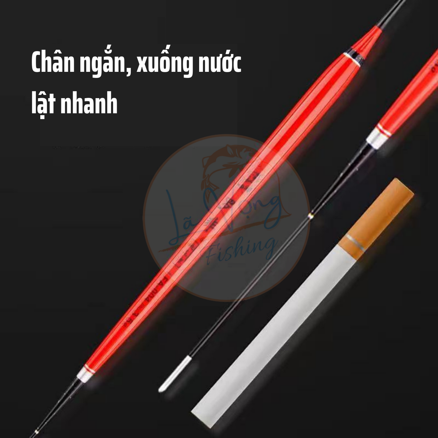 Phao Câu Rô Ngày - Đêm - LFA-001, Tăm Sáng Nhìn Rõ Ràng